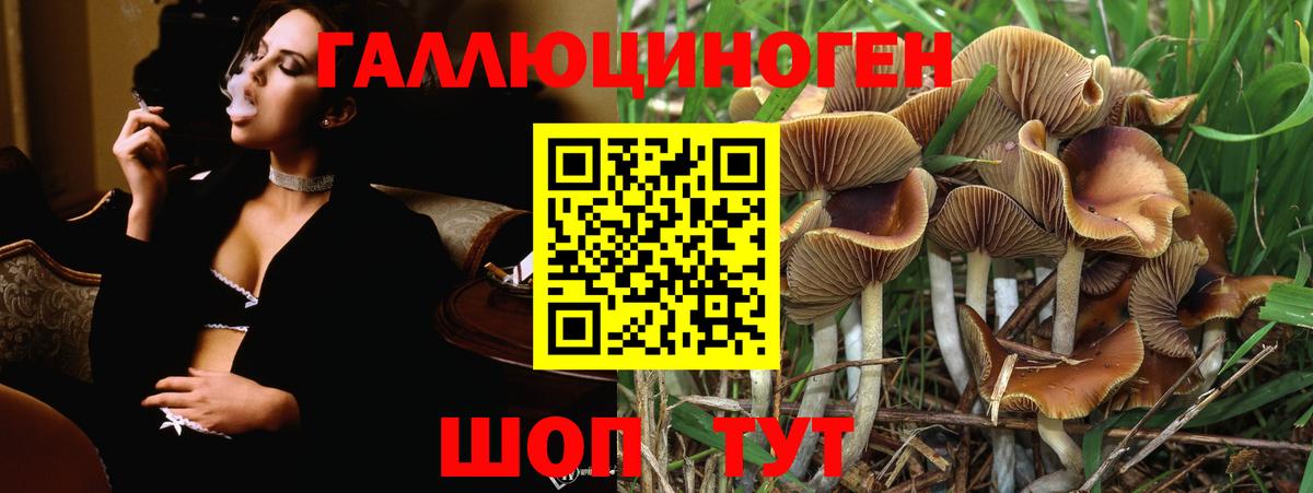 Галлюциногенные грибы Cubensis Саранск